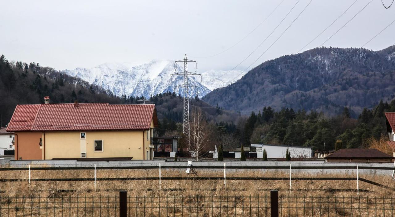 Carpen View Residence Săcele Exterior foto