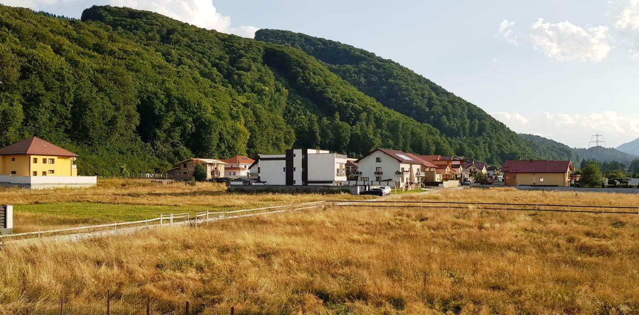 Carpen View Residence Săcele Exterior foto